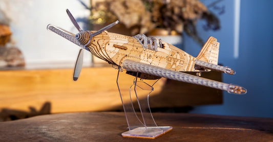 Dive Deeper into the Intricacies of Viter Models' Speedfighter Airplane Model